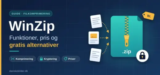 Grafik med teksten "WinZip – Funktioner, pris og gratis alternativer" ved siden af en illustration af dokumenter, der pakkes ned i en turkis zip-fil med lynlås, en hængelås for kryptering og et prisskilt.